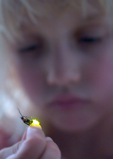 6a00d83451dba369e200e552af5f908834-800wi